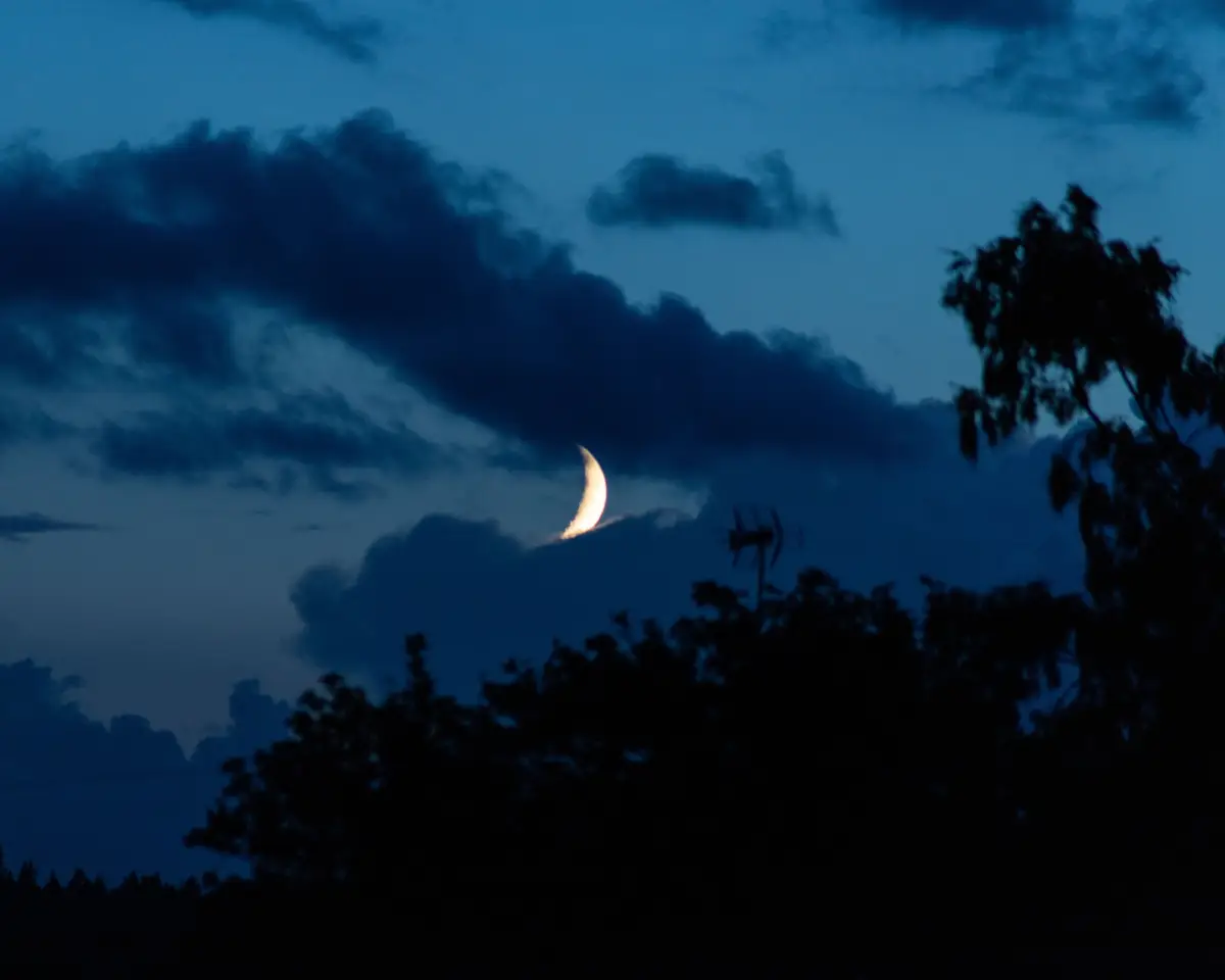 Bright Moon and Crescent Venus