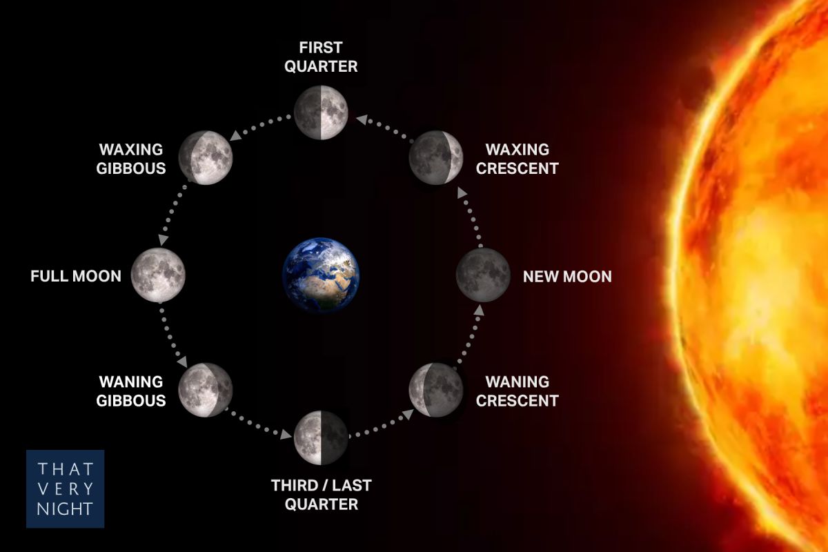 What is a moon phase? Like the Earth, the Moon does not make its own light, however, it does reflect light from the sun. And like the Earth, the Moon is always moving and orbiting. Therefore if we view the Moon from the Earth, we can see varying fractions of sunlight reflections of the moon depending on its position to the Sun. 